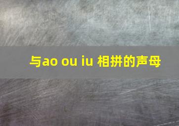 与ao ou iu 相拼的声母